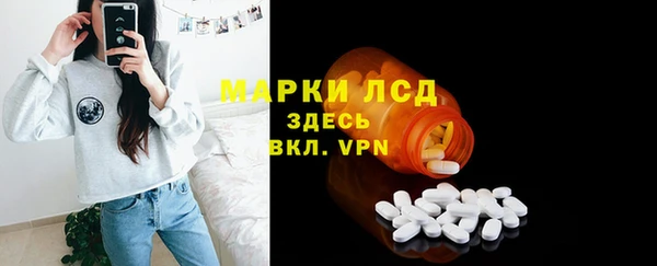 мдпв Богданович