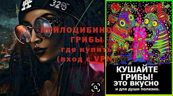 мдпв Богданович
