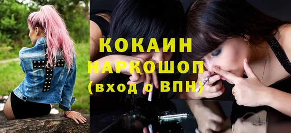 мдпв Богданович