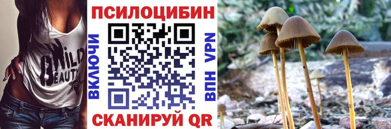 Купить  Буинск  Галлюциногенные грибы мицелий 