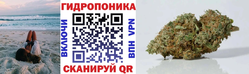 МАРИХУАНА гибрид  Купить закладки  Буинск 